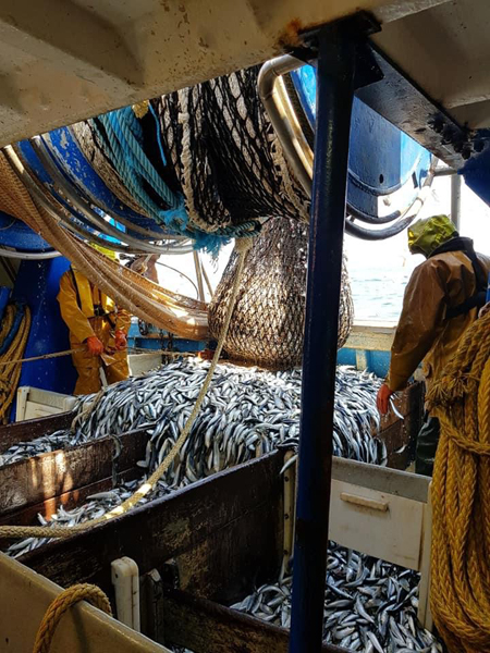 En pêche