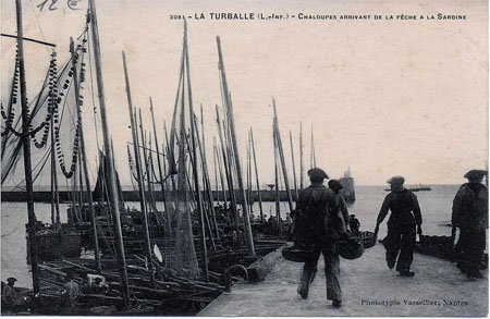 Chaloupes arrivant de la pêche à la sardine