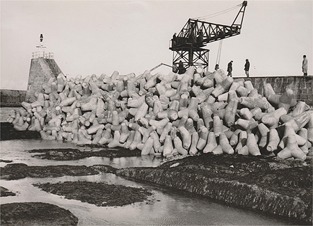 Les tétrapodes du Tourlandroux