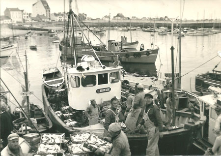 Le Volontaire au port