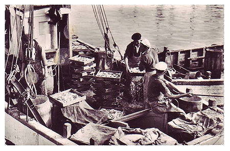 Lavage du poisson avant la vente