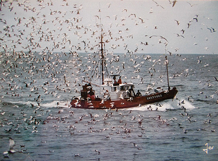 Le Messager des Flots