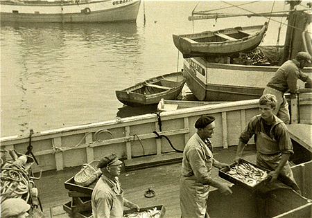 Débarquement de la senne