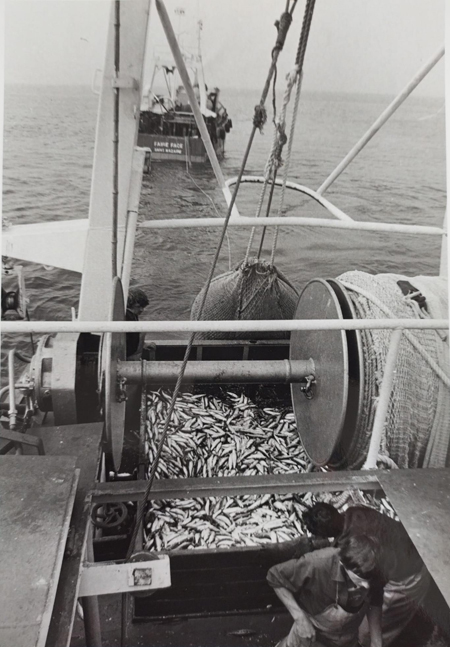 En pêche avec le Faire Face