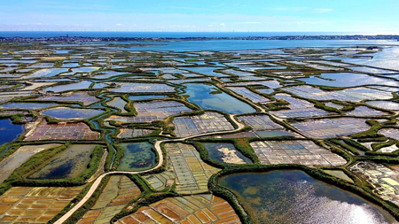 Mosaïque des marais salants