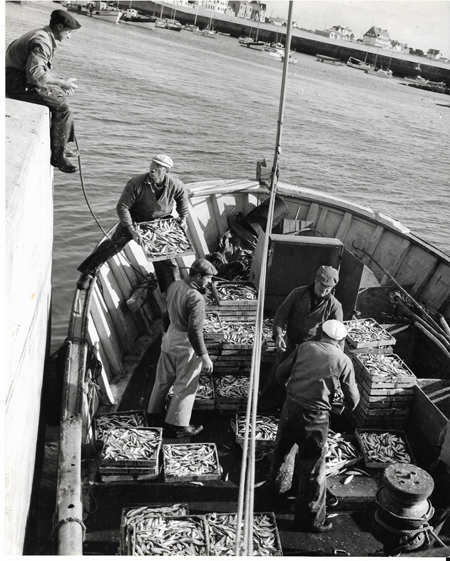 Débarquement du poisson