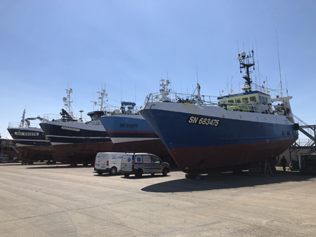Pélagiques sur l'aire de carénage