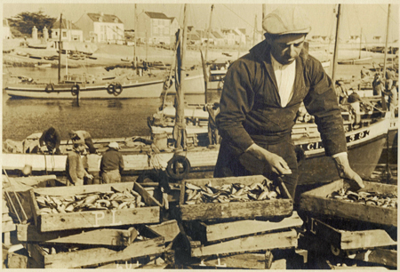 Débarquement du poisson