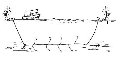 Pêche à la palangre de fond