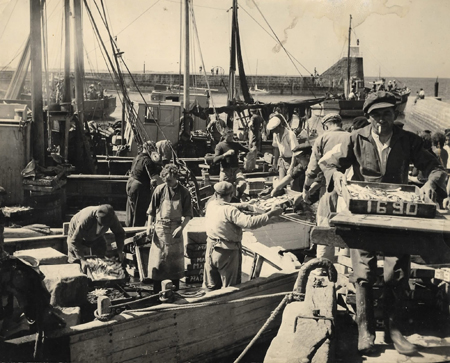 DŽbarquement du poisson