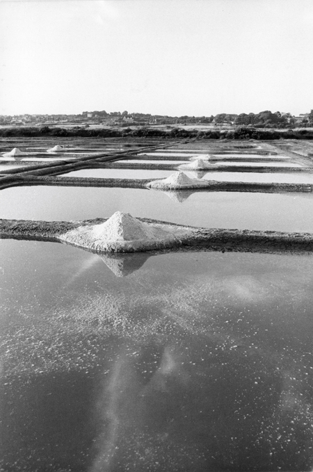 Les marais salants
