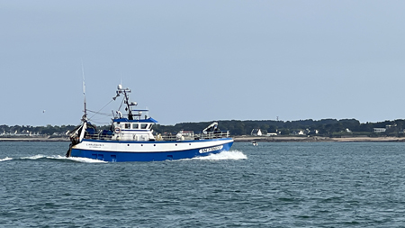 L'Arlequin II