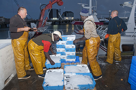Débarquement de la pêche