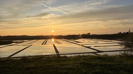 Levée de soleil sur le marais