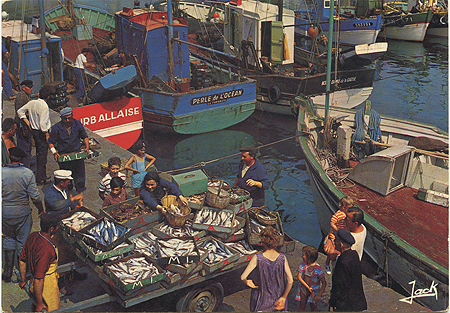 Débarquement du poisson