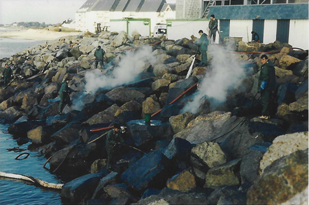 Marée noire de l'Erika