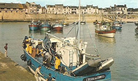 L'Oiseau des Tempêtes au port