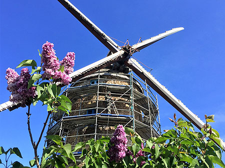 Rénovation de l'enduit du Moulin de Kerbroué