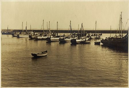 Flottile au port