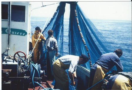 Virage de la bolinche