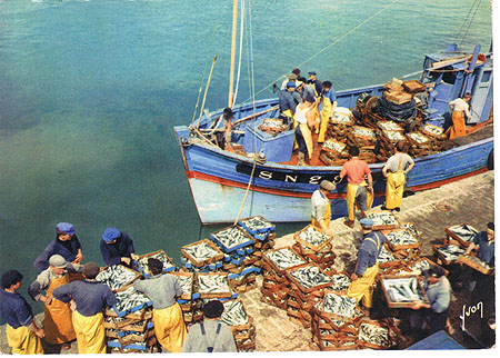 Déchargement du poisson