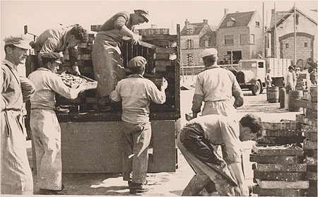 Chargement du poisson sur la jonchère de pleine-main