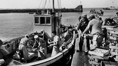 débarquement du poisson