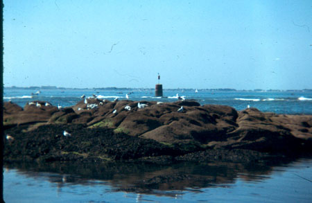 Bouée des Espets