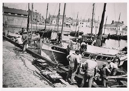 Débarquement du poisson