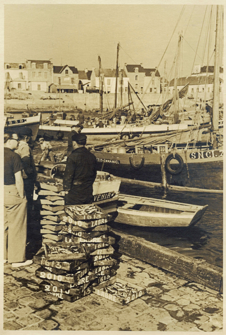 Débarquement du poisson