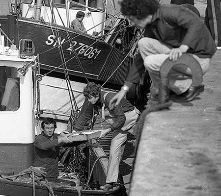 Débarquement du poisson