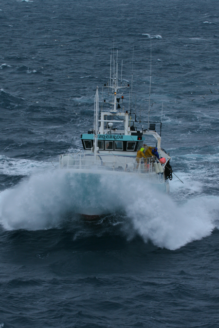 Tangaroa en mer