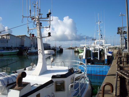Bateaux de pêche dans le bassin de Garlahy