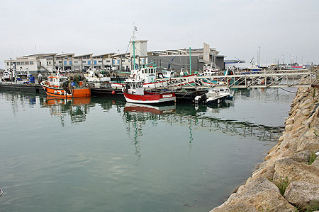 Port de pêche et criée