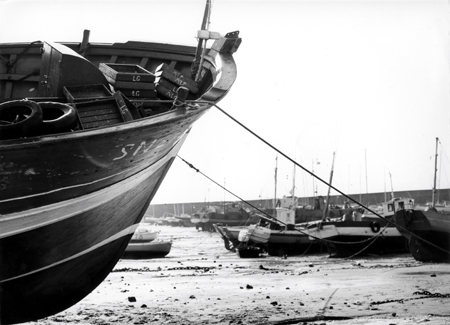 Le port à marée basse