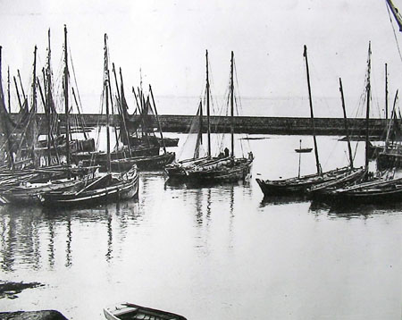 Flotille à voiles dans le port