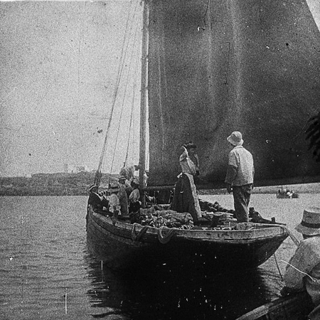 Balade en mer au départ de la Turballe