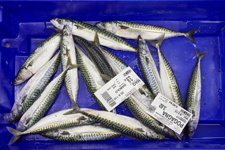 Dans la criée, pendant la vente