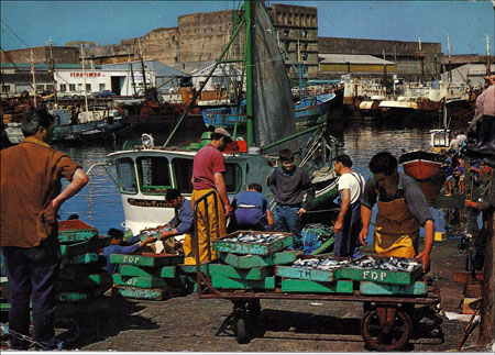 Déchargement du poisson à Lorient