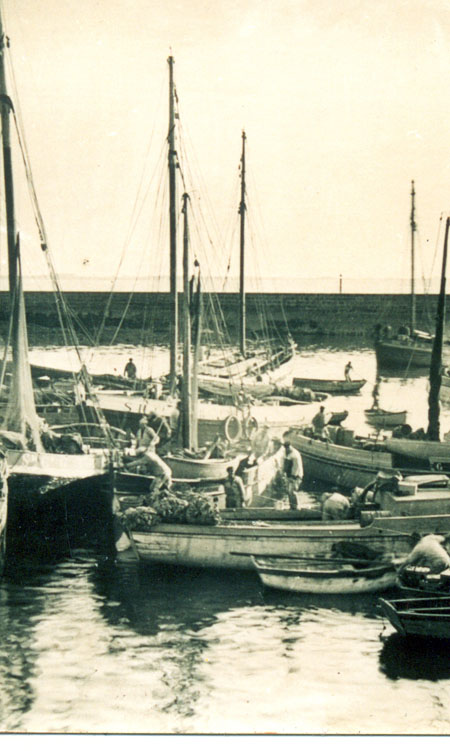 Flotille dans le port