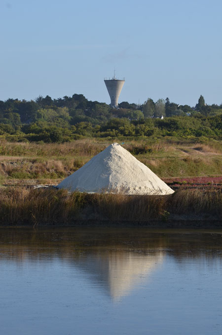 Mulon dans saline sur fond de château d'eau