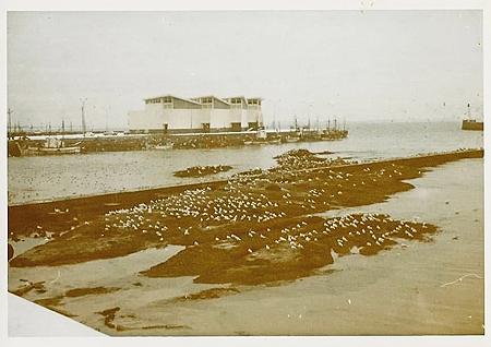 Port de garlahy à marée haute
