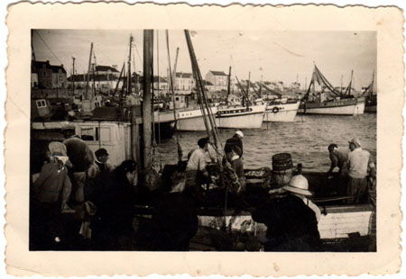 Débarquement de la sardine