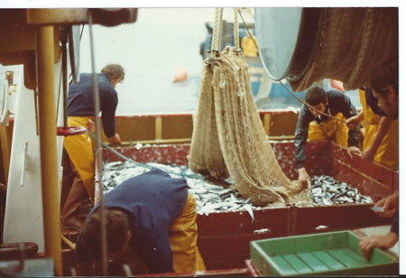 En pêche à bord du Los Hermanos