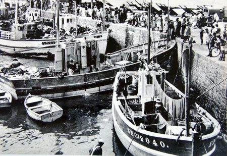 Les chalutiers de retour au quai de déchargement