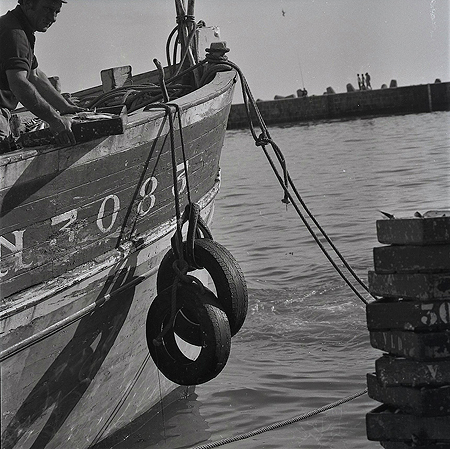 Débarquement du poisson