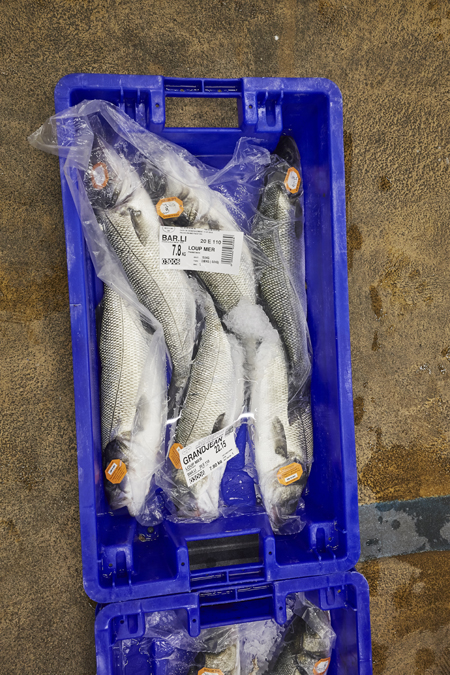 Dans la criée, pendant la vente