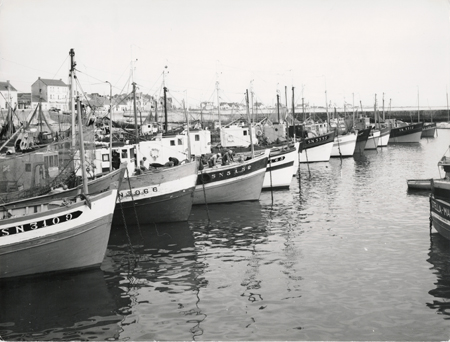 Flottille au port