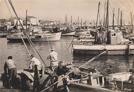 Bateaux dans le port de La Turballe