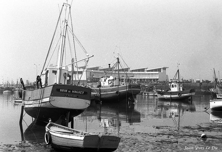 Brin de Muguet au port